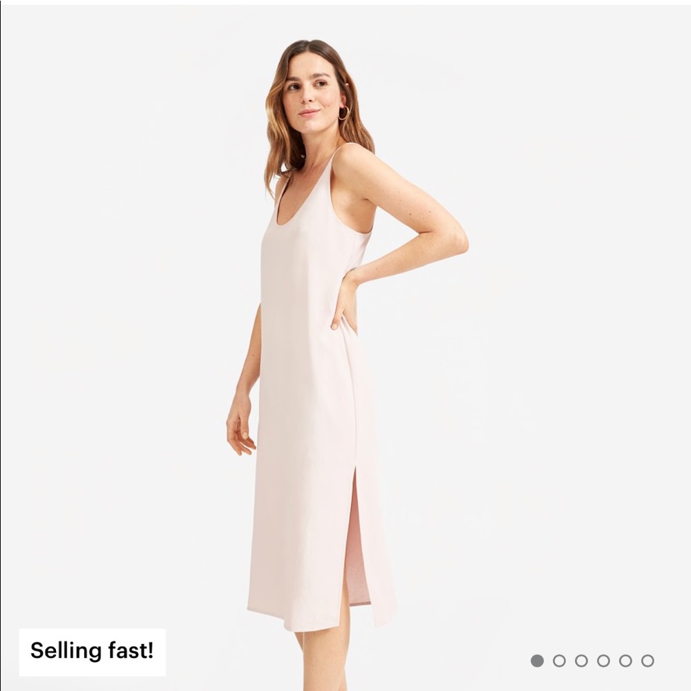 Everlane The Japanese GoWeave Long Slip Dress